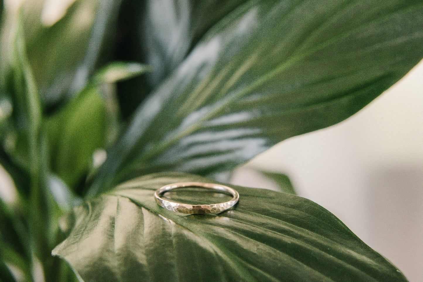 Mesa Ring