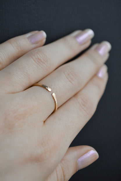 Horizon Ring