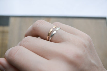 Horizon Ring